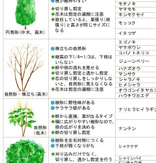 樹型種類